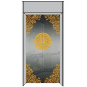 Hairline Modern Designed Landing Door Panel