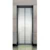 Modern Etching Designed Landing Door Panel