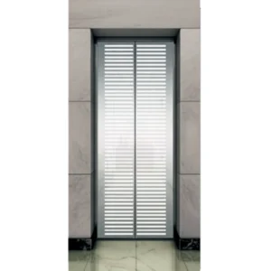 Modern Etching Designed Landing Door Panel