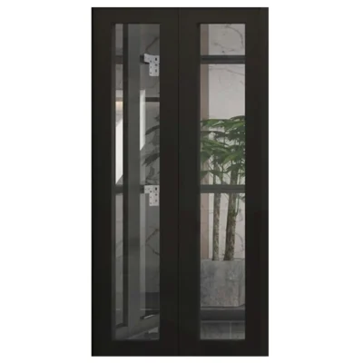 Semi Glass SS Frame Door Panel
