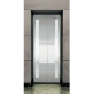 Silver Mirror Etching Designed Landing Door Panel