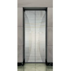 Stylish Mirror Etching SS Landing Door Panel