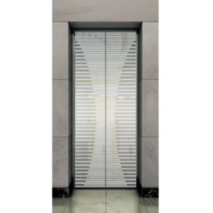 Stylish Mirror Etching SS Landing Door Panel