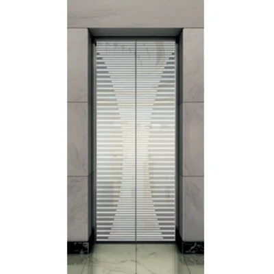 Stylish Mirror Etching SS Landing Door Panel