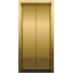 Titanium Gold Etched Mirror St.St Lift Door Panel