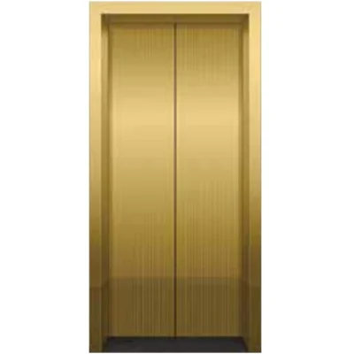 Titanium Gold Etched Mirror St.St Lift Door Panel 