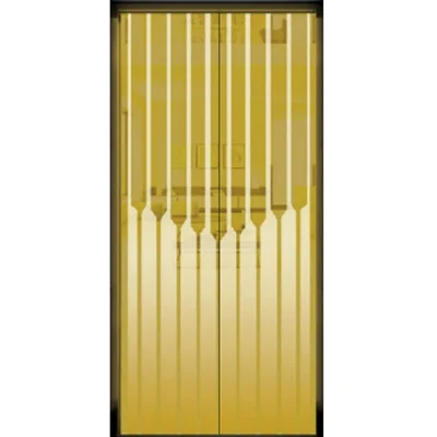 Titanium Gold Mirror Etching Elevator Door Panel